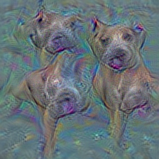 n02093256 Staffordshire bullterrier, Staffordshire bull terrier